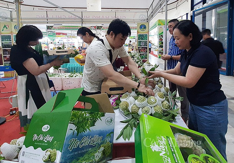 người tiêu dùng mua sản phẩm na Chi Lăng (Lạng Sơn) tại Phiên chợ