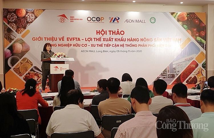 2029-toan-canh-hoi-thao