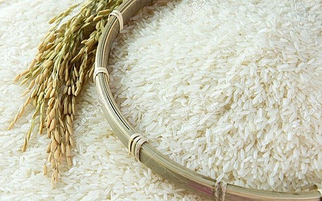 Giá lúa gạo hôm nay 15/11: Nhu cầu tăng đẩy giá lúa gạo ở mức cao