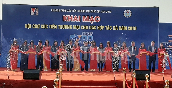 250 gian hang tham gia hoi cho xuc tien thuong mai cho cac hop tac xa nam 2019