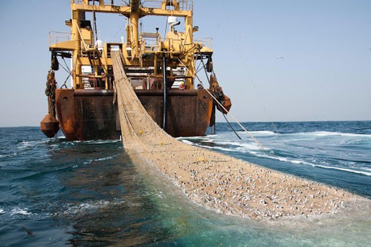 Đàm phán trợ cấp thủy sản tại WTO giải quyết vấn đề đánh bắt quá mức