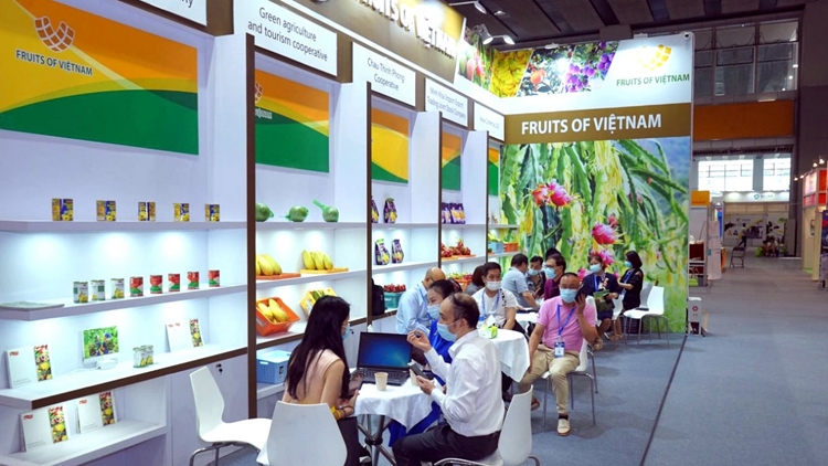 Xúc tiến thương mại trên nền tảng số: Bước chuyển lớn Xúc tiến thương mại trên nền tảng số: Bước chuyển lớn