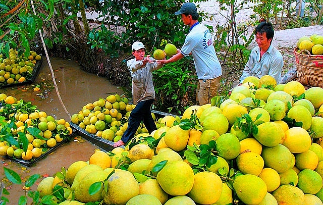 Tiềm năng xuất khẩu hoa, rau, quả của Việt Nam rất lớn