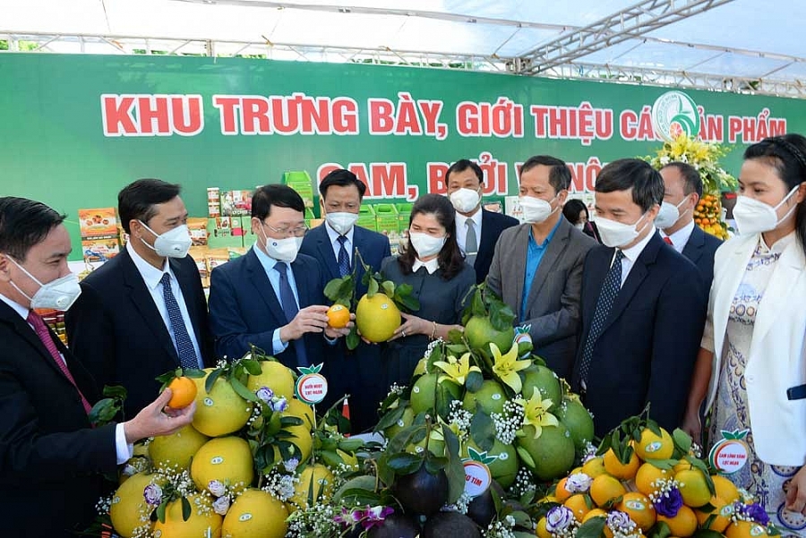 Bộ Công Thương tiếp tục hỗ trợ Bắc Giang xúc tiến tiêu thụ nông sản chủ lực