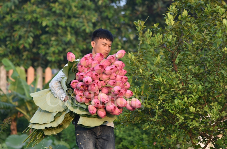 https://congthuong.vn/stores/news_dataimages/phamtiep/062019/06/13/2910_2_copy.jpg