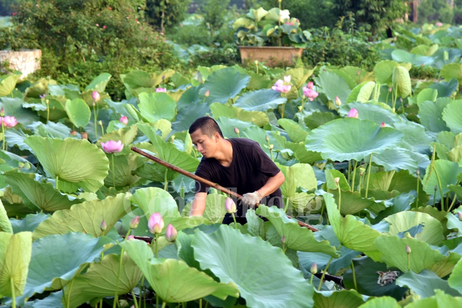 https://congthuong.vn/stores/news_dataimages/phamtiep/062019/06/13/2914_DSC_6717_copy.jpg