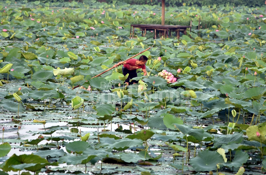 https://congthuong.vn/stores/news_dataimages/phamtiep/062019/06/13/2920_DSC_6865_copy.jpg