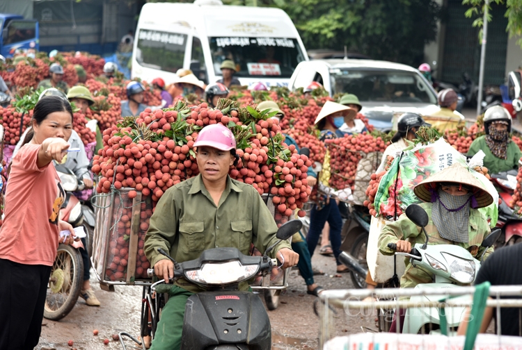 soi dong cho vai thieu dai nhat viet nam