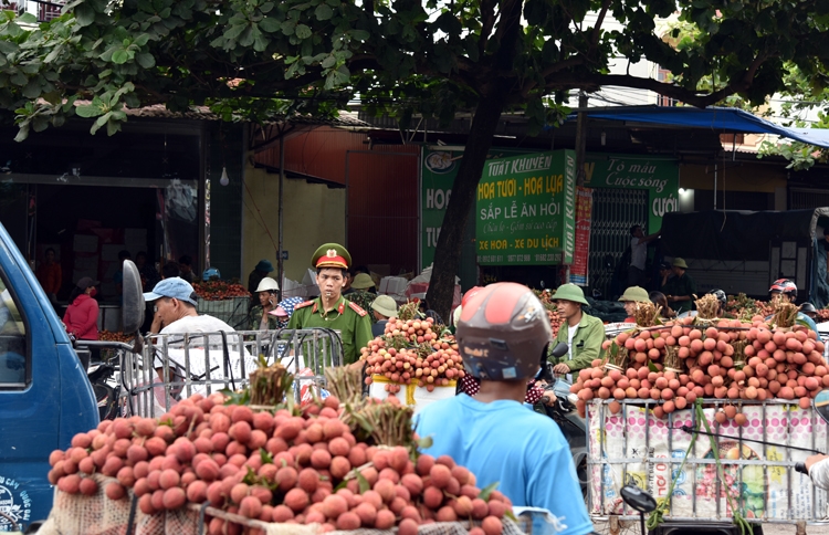 soi dong cho vai thieu dai nhat viet nam