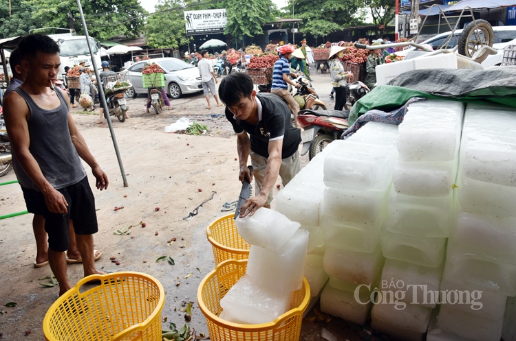 soi dong cho vai thieu dai nhat viet nam