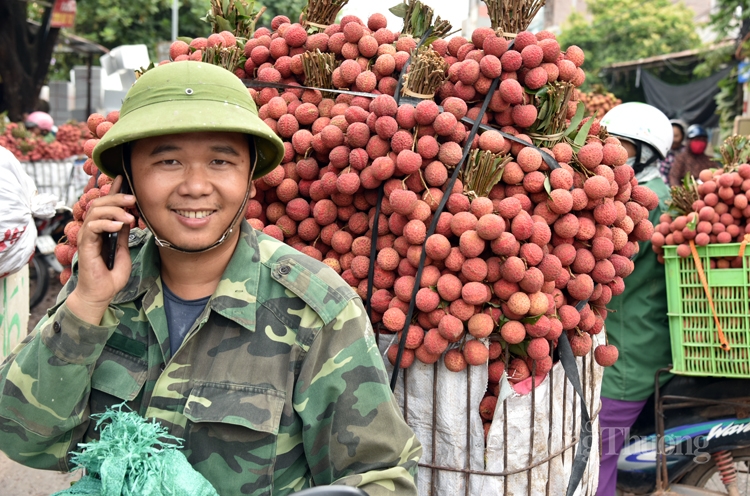 soi dong cho vai thieu dai nhat viet nam