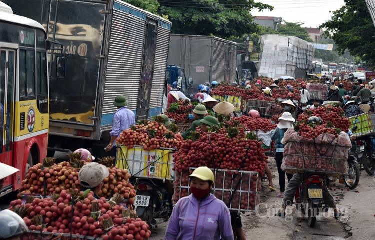 Mục sở thị Chợ vải thiều dài nhất Việt Nam