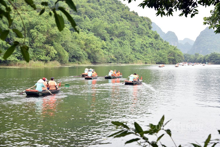 Nghề lái đò du lịch Tràng An: Hồi sinh sau đại dịch Nghề lái đò du lịch Tràng An: Hồi sinh sau đại dịch