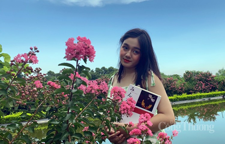 Rực rỡ sắc hoa tường vi Rực rỡ sắc hoa tường vi