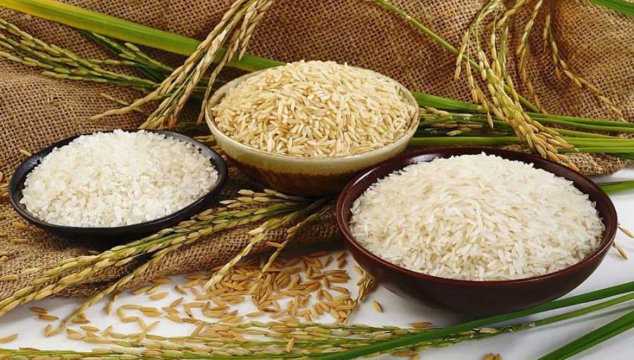 Xuất khẩu gạo vào Bắc Âu: Doanh nghiệp cần lưu ý gì? Xuất khẩu gạo vào Bắc Âu: Doanh nghiệp cần lưu ý gì?