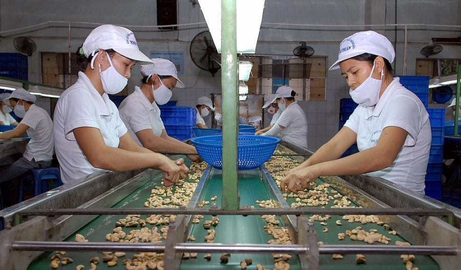 Thực hiện nghiêm hơn quy định vệ sinh an toàn thực phẩm khi xuất khẩu thực phẩm chế biến sang Hàn Quốc Thực hiện nghiêm hơn quy định vệ sinh an toàn thực phẩm khi xuất khẩu thực phẩm chế biến sang Hàn Quốc