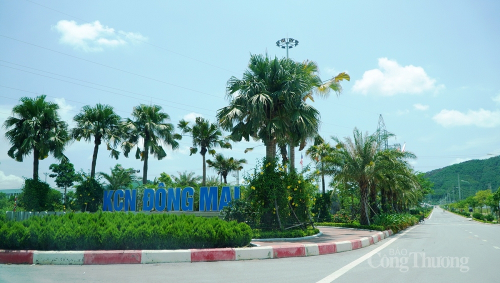 Dự án nhà máy Lioncore Việt Nam có chủ đầu tư là Công ty Singapore Lioncore Industries. Nhà máy được đặt tại Khu công nghiệp Đông Mai, thị xã Quảng Yên (tỉnh Quảng Ninh)