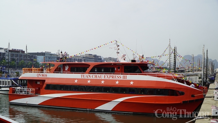 quang ninh dua vao khai thac tau cao toc 5 sao tu tuan chau di co to