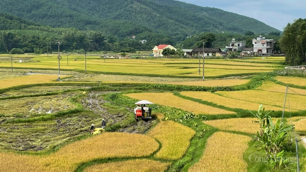 Đẩy mạnh xây dựng nông thôn mới tại Quảng Ninh