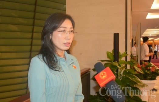 Đại biểu Hoàng Thị Thanh Thúy, Phó Trưởng Đoàn chuyên trách Đại biểu Quốc hội tỉnh Tây Ninh