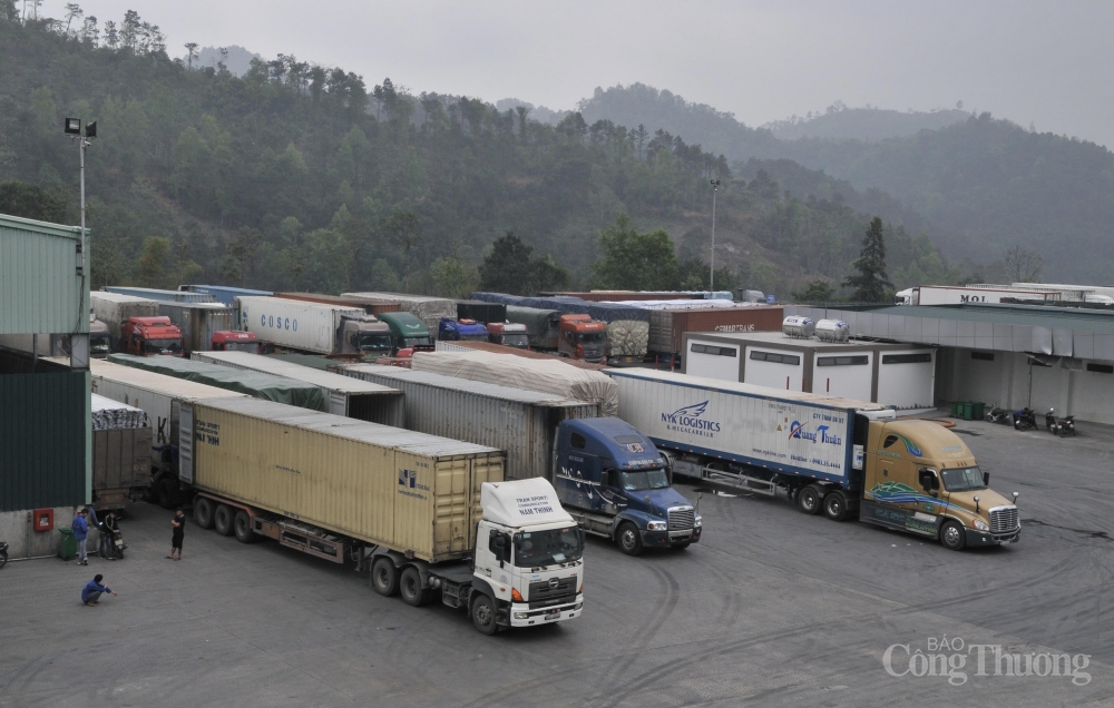 Lạng Sơn tồn 405 xe hoa quả chở hoa quả xuất khẩu