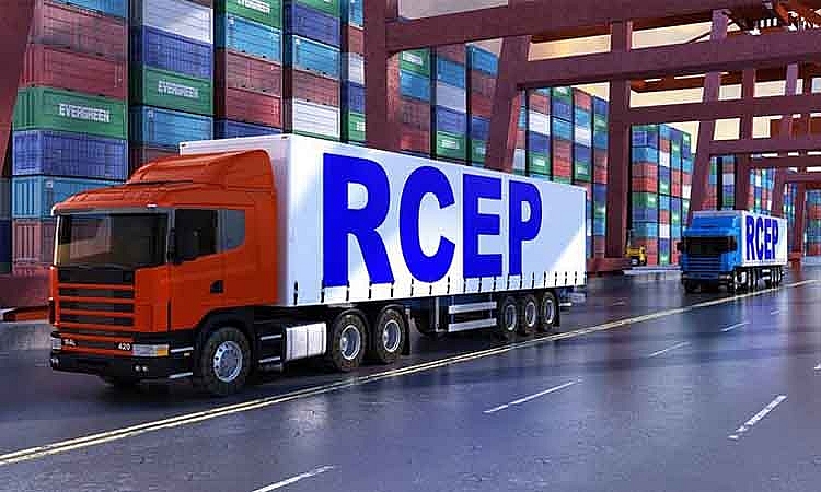 Tuần đầu tiên thực thi RCEP: Doanh nghiệp hài lòng với lợi ích và chi phí