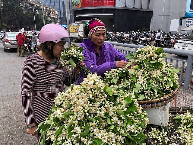 cuoi mua hoa buoi tang gia chat den hon 100000 donglang