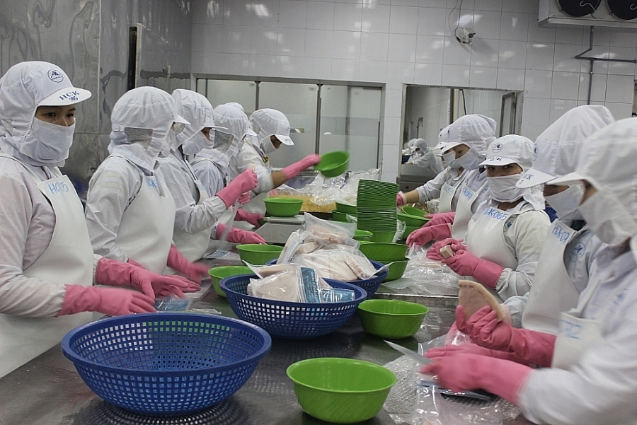 Miễn thị thực nhập cảnh Việt Nam cho công dân 13 nước Miễn thị thực nhập cảnh Việt Nam cho công dân 13 nước