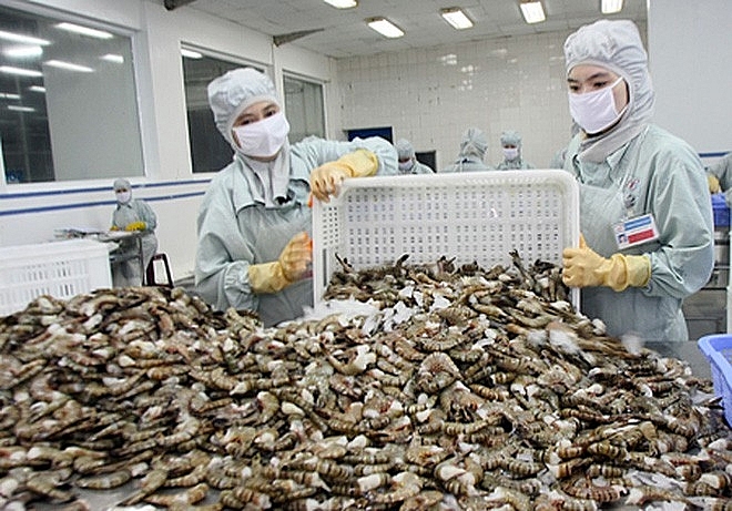 Xuất khẩu tôm có cơ hội đạt trên 4 tỷ USD Xuất khẩu tôm có cơ hội đạt trên 4 tỷ USD