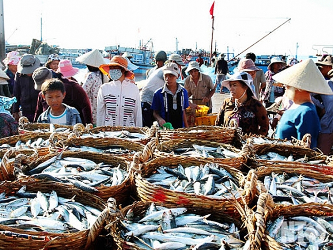 trung dam mua ca noi