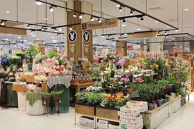 Xuất khẩu hoa tươi Việt Nam bắt đầu có chỗ đứng ở Nhật Bản
