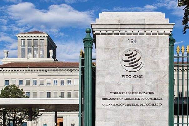 Hội nghị bộ trưởng lần thứ 12 là cơ hội dẫn đường cải cách WTO