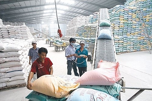 Bộ Công Thương quy định chi tiết về kinh doanh xuất khẩu gạo