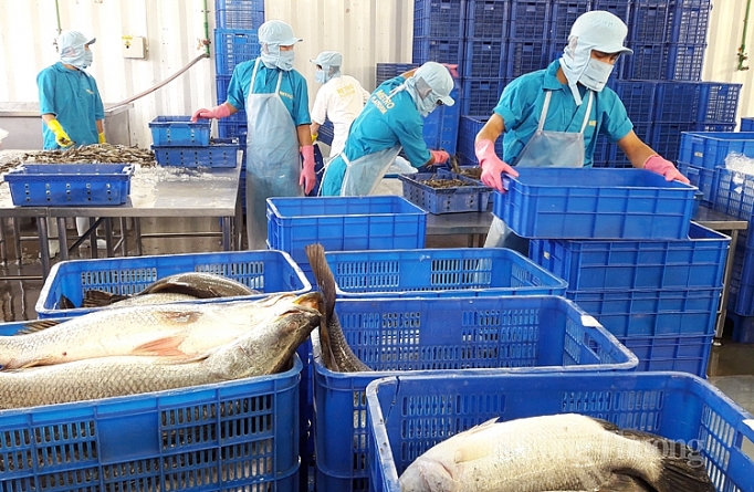 bo cong thuong ung ho mm mega market trong no luc san xuat tieu thu xuat khau hang hoa cua viet nam