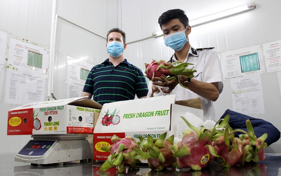 Hoa Kỳ - Thị trường tiềm năng của  trái cây Việt Nam