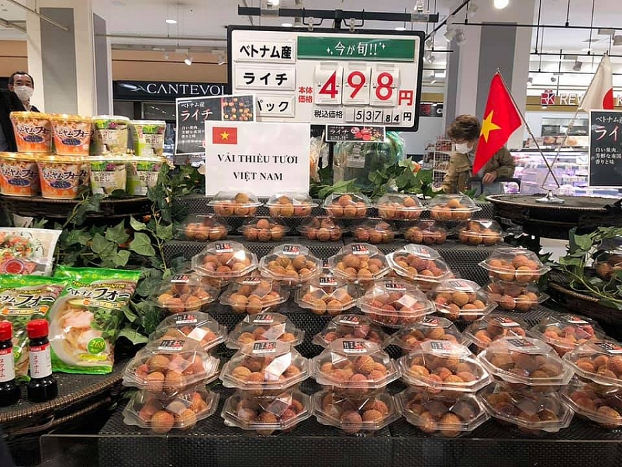 Việt Nam – Nhật Bản: Tăng cường kết nối doanh nghiệp xuất nhập khẩu nông sản