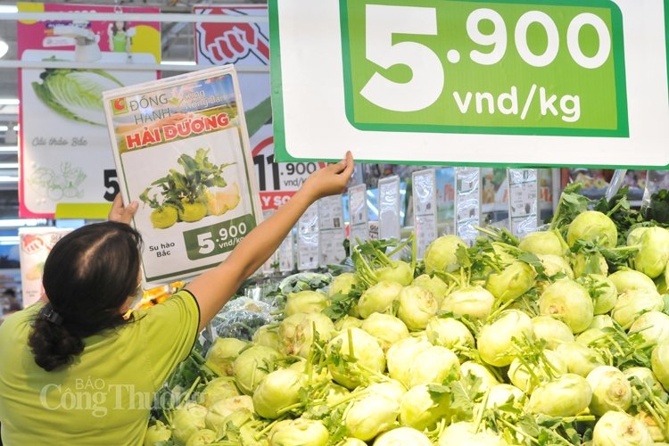 Hệ thống bán lẻ đồng hành cùng nông dân Hải Dương Hệ thống bán lẻ đồng hành cùng nông dân Hải Dương