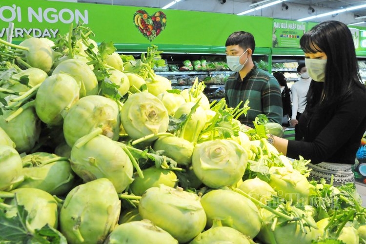 Hệ thống bán lẻ đồng hành cùng nông dân Hải Dương Hệ thống bán lẻ đồng hành cùng nông dân Hải Dương