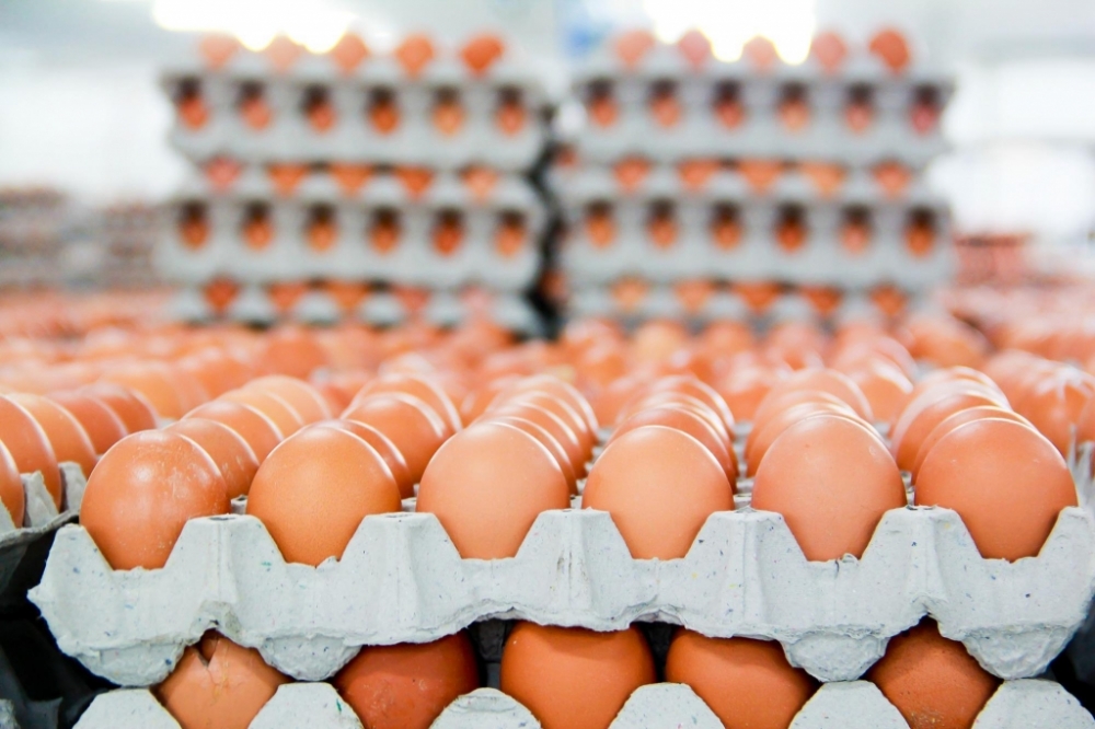 Bộ Công Thương công bố hạn ngạch thuế quan nhập khẩu muối, trứng gia cầm năm 2022