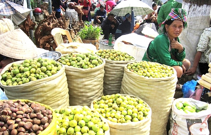 mu cang chai mat mua son tra